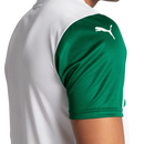 Camisa Palmeiras 2025/26