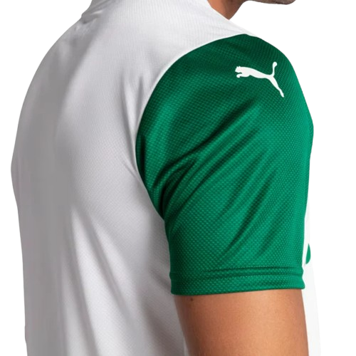 Camisa Palmeiras 2025/26 R.VEIGA Nº23