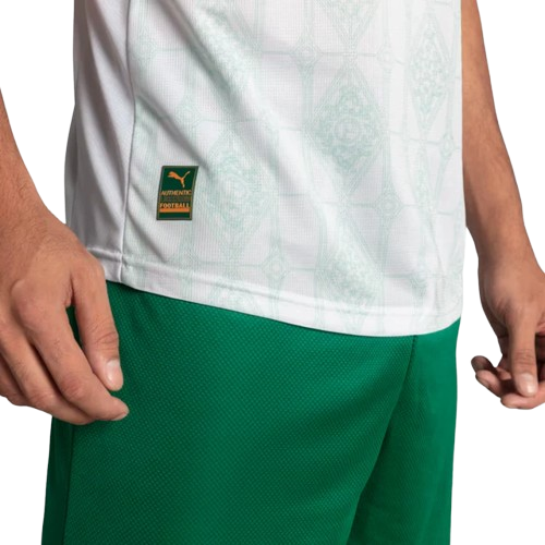 Camisa Palmeiras 2025/26 R.VEIGA Nº23