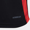 Camisa SC Internacional 2025/26 TREINO