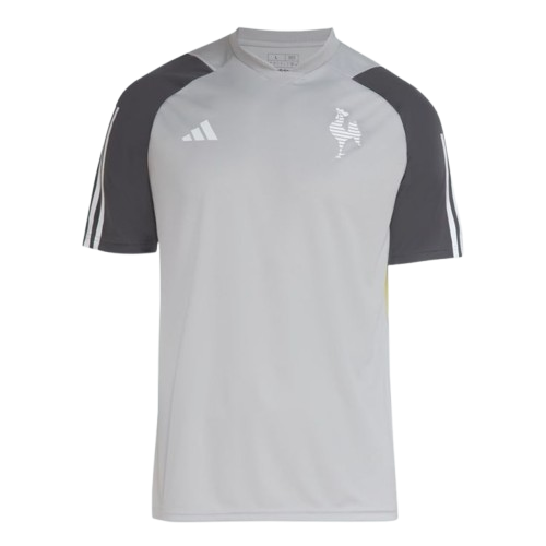 Camisa Atlético Mineiro 2025 TREINO