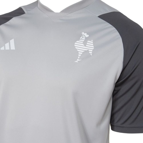 Camisa Atlético Mineiro 2025 TREINO