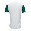 Camisa Palmeiras 2025/26