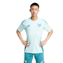 Camisa Cruzeiro 2025/26 TREINO