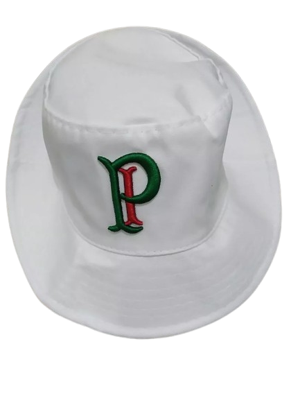 Bucket Palmeiras - VERDE/BRANCO