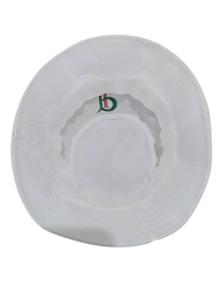 Bucket Palmeiras - VERDE/BRANCO