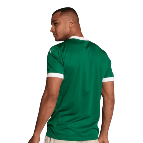 Camisa Palmeiras 2025/26